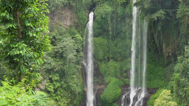 Güzel tropik şelale. Bali, Endonezya.