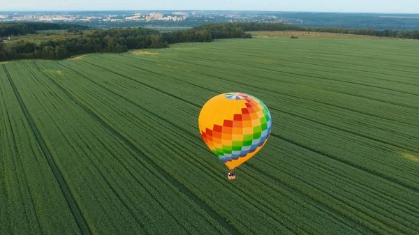 Montgolfière dans le ciel au-dessus d'un champ . — Photo