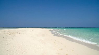 güzel bir plaj tropikal adada.