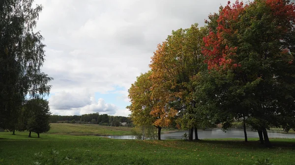 Jesienny krajobraz z drzewami i liśćmi. — Zdjęcie stockowe