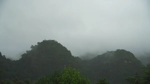 Brouillard dans les montagnes. — Photo