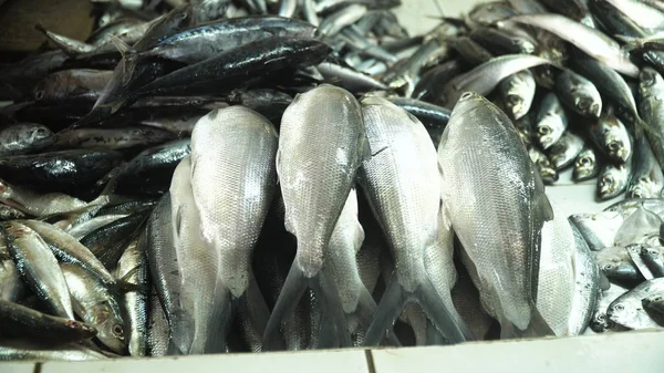 Pescado en el mercado asiático. — Foto de Stock