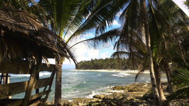 Tropik bir adada kumsal. Filipinler, Siargao.