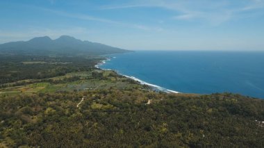 Tropikal manzara, deniz, sahil, dağlar.