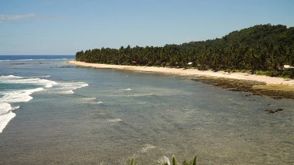 Tropik bir adada kumsal. Filipinler, Siargao. — Stok fotoğraf