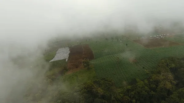 Terres agricoles dans les montagnes dans le brouillard. Île de Jawa, Indonésie — Photo