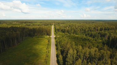 Orman arasında karayolu.