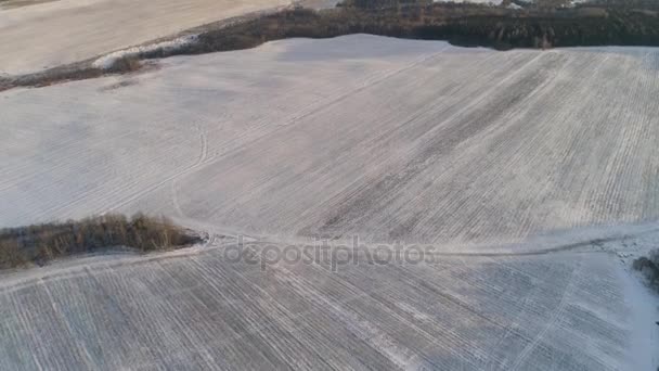 Paesaggio invernale con foresta, campo. Paesaggio invernale . — Video Stock