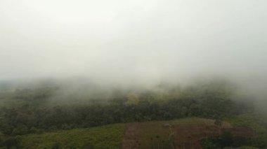 Sisin içindeki dağlarda tarım arazileri. Jawa Adası, Endonezya