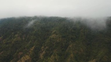 Sis ve bulutlar yağmur ormanları. Bali, Endonezya.