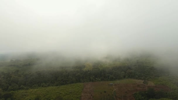 Boerderij in de bergen in de mist. Jawa eiland, Indonesië — Stockvideo