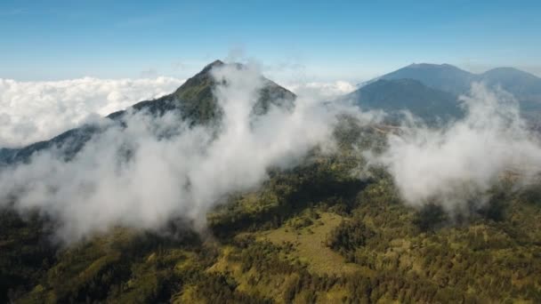 Hegyvidéki táj Jawa sziget, Indonézia. — Stock videók
