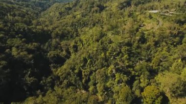 Dağ Kanyon orman üzerinde köprü. Bali, Endonezya.