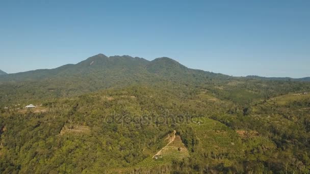 Krajobraz górski z polami uprawnymi, Bali, Indonezja — Wideo stockowe
