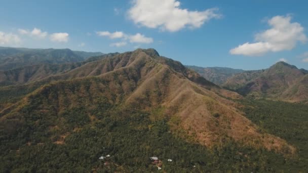 Widok górskiego krajobrazu lasu. Bali — Wideo stockowe