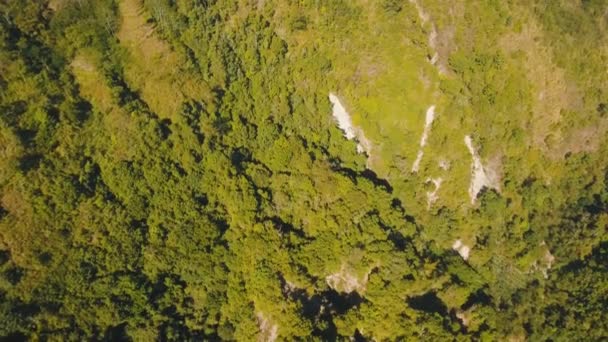 山の森の風景のビュー。バリ島 — ストック動画