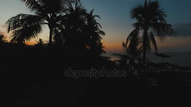 海の海岸で日没。インドネシアのバリ. — ストック動画