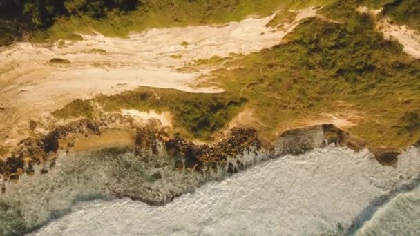 Côte rocheuse sur l'île de Bali. Vue aérienne. — Video