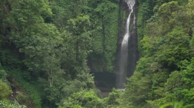 Güzel tropik şelale. Bali, Endonezya.