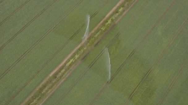 Vue aérienne : Machine d'irrigation dans un champ de pommes de terre — Video