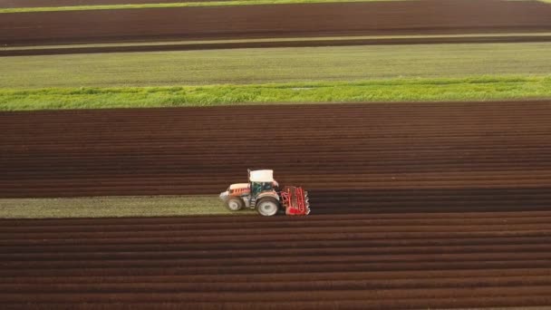 Tracteur cultive la terre dans le champ. — Video