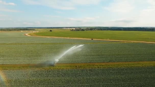 Sistem irigasi di lahan pertanian. — Stok Video