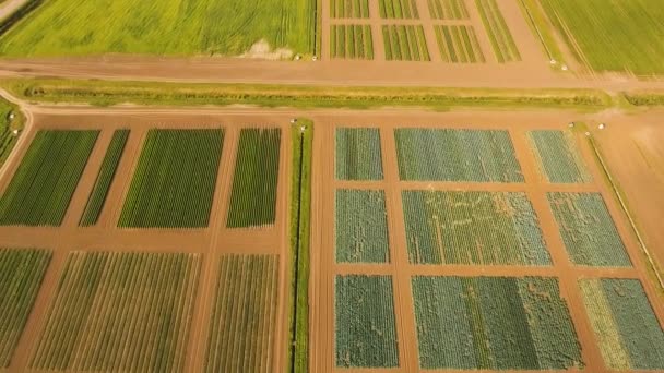 Luchtfoto van landbouwgrond. — Stockvideo