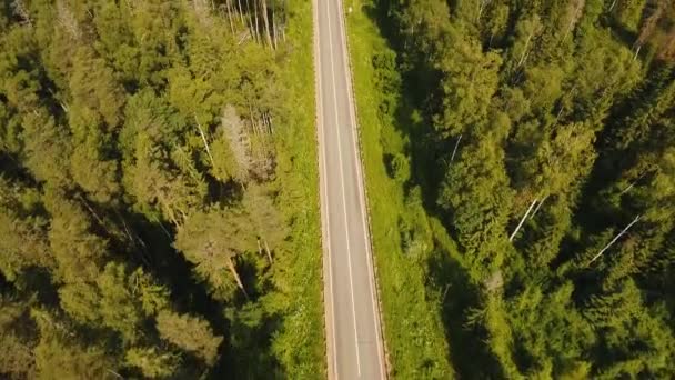 Snelweg tussen het bos. — Stockvideo