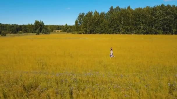 Verão paisagem, menina, campo de linho — Vídeo de Stock