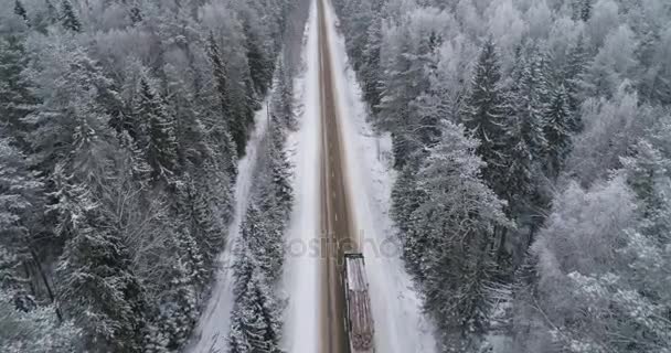 Estrada de inverno na floresta. — Vídeo de Stock