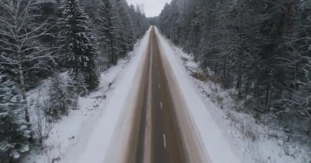 Droga zimowa w lesie. — Wideo stockowe