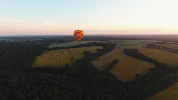 Montgolfière dans le ciel au-dessus d'un champ . — Video