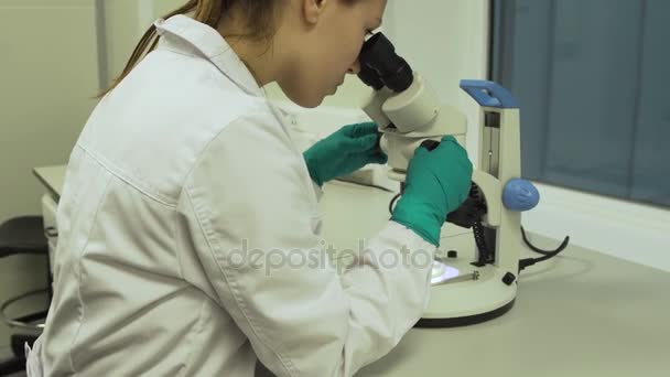 Bióloga femenina mira en un microscopio — Vídeos de Stock