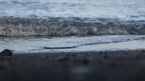 Zwaai naar het strand. — Stockvideo