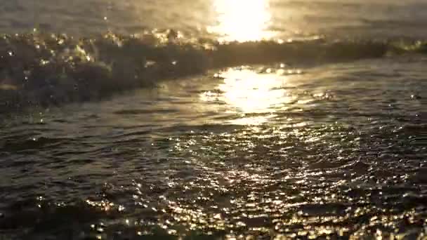 Vague rouler dans la plage. — Video