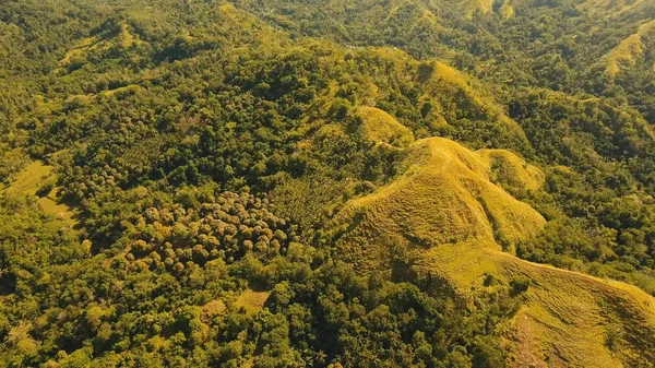 Montagne con foresta tropicale. Filippine Isola di Siargao . — Foto Stock