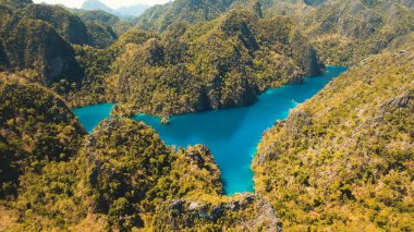 Dağ lake Kayangan tropik bir adada, Filipinler, Coron, Palawan.