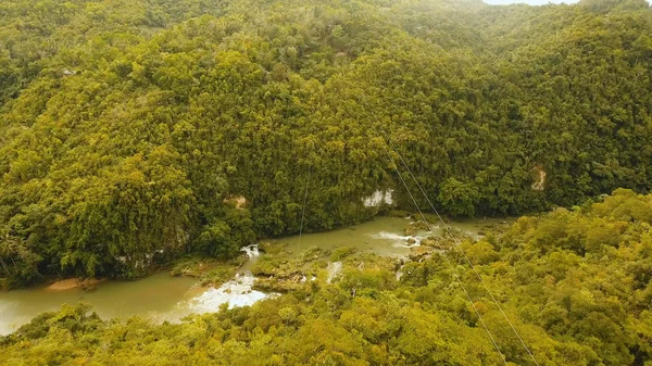 Cazibe zipline Bohol, Filipinler adadaki ormanda. — Stok fotoğraf