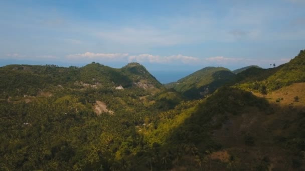 Montagnes avec forêt tropicale. Philippines Cebu île. — Video