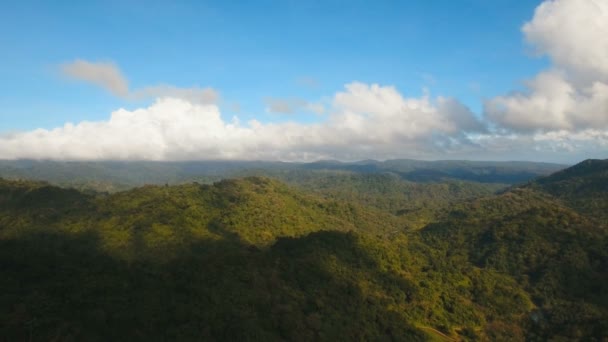 Berge mit tropischem Wald. philippinen catanduanes insel. — Stockvideo