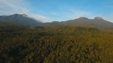 Tropikal orman ile Dağları. Camiguin Adası Filipinler.