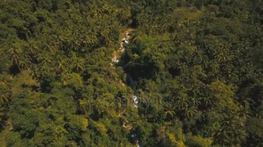 Güzel tropik şelale. Filipinler Cebu Adası.