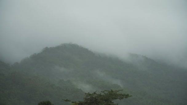 Niebla en las montañas. — Vídeos de Stock