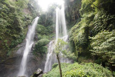 Güzel tropik şelale. Bali, Endonezya.