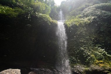 Güzel tropik şelale. Bali, Endonezya.