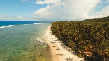 Hava güzel bir plaj tropikal bir adada görüntüleyin. Filipinler, Siargao.