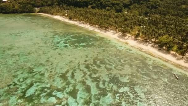 Anteny Zobacz pięknej plaży na tropikalnej wyspie. Filipiny, Siargao. — Wideo stockowe