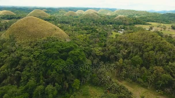 Schokoladenhügel in Bohol, Philippinen, Luftaufnahme. — Stockvideo