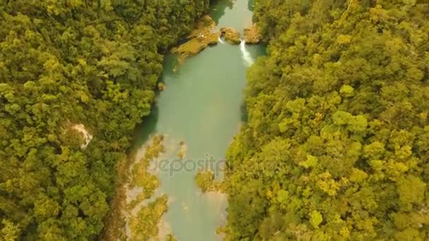 Loboc rivier in het regenwoud Filippijnen, Bohol. — Stockvideo