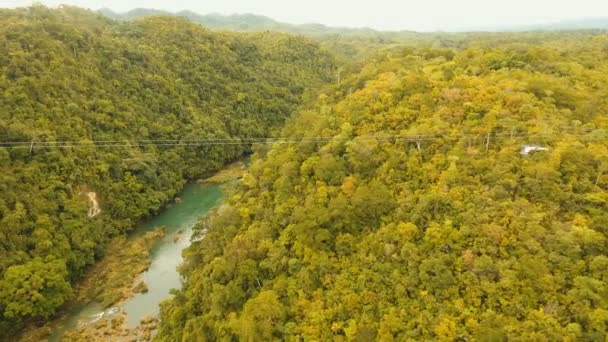 Atracción tirolina en la selva en la isla de Bohol, Filipinas . — Vídeos de Stock